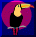 TOUCAN LIGHTING